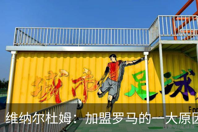 维纳尔杜姆：加盟罗马的一大原因是因为萨拉赫的推荐